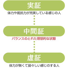 実証:体力や抵抗力が充実している感じの人／中間証:バランスがとれた理想的に状態／虚証:体力が無くて弱弱しい感じのする人